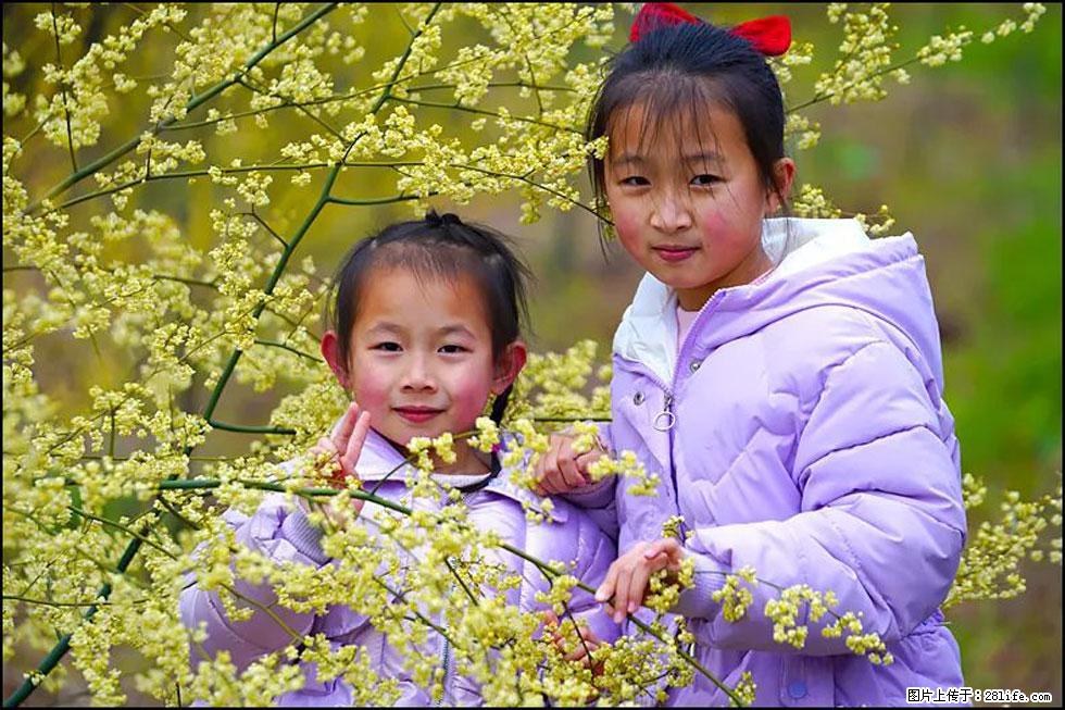 【春天，广西桂林灌阳县向您发出邀请！】米珠山前有片山苍子花在飘香 - 游山玩水 - 湘西生活社区 - 湘西28生活网 xiangxi.28life.net