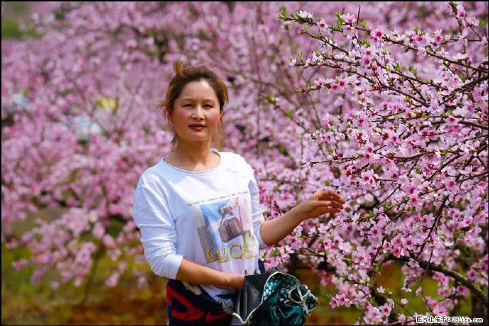 【春天，广西桂林灌阳县向您发出邀请！】官庄村有个醉美的桃花园 - 游山玩水 - 湘西生活社区 - 湘西28生活网 xiangxi.28life.net