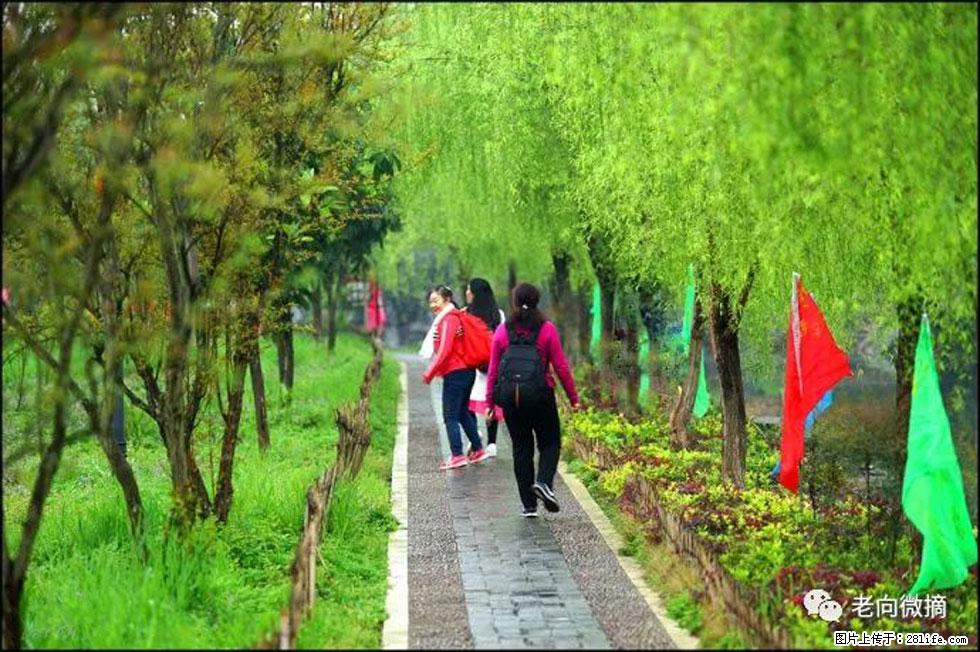 【春天，广西桂林灌阳县向您发出邀请！】江口老街又逢春 - 游山玩水 - 湘西生活社区 - 湘西28生活网 xiangxi.28life.net