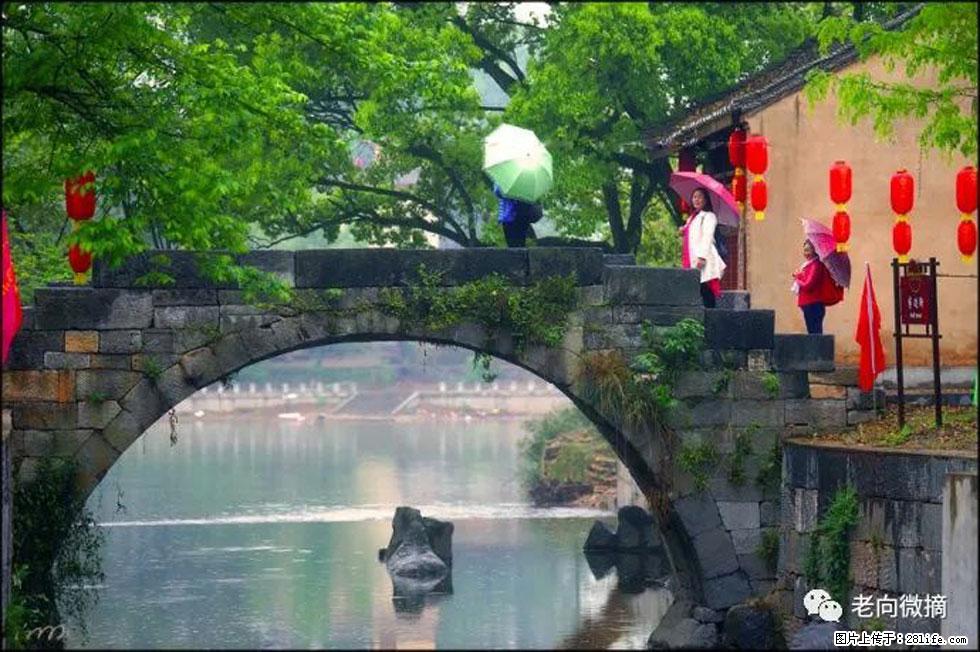 【春天，广西桂林灌阳县向您发出邀请！】江口老街又逢春 - 游山玩水 - 湘西生活社区 - 湘西28生活网 xiangxi.28life.net