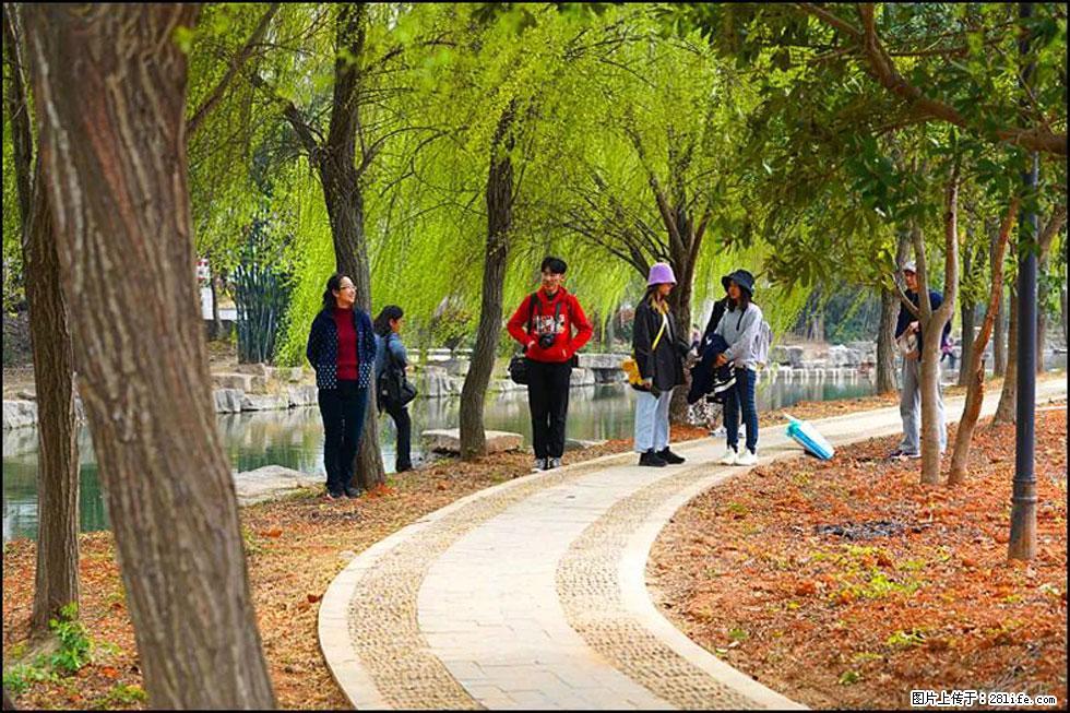 【春天，广西桂林灌阳县向您发出邀请！】江口老街又逢春 - 游山玩水 - 湘西生活社区 - 湘西28生活网 xiangxi.28life.net