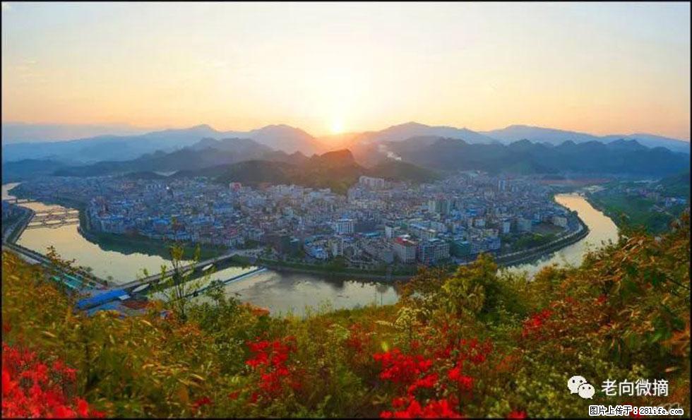 【春天，广西桂林灌阳县向您发出邀请！】登麒麟山，相约映山红 - 游山玩水 - 湘西生活社区 - 湘西28生活网 xiangxi.28life.net