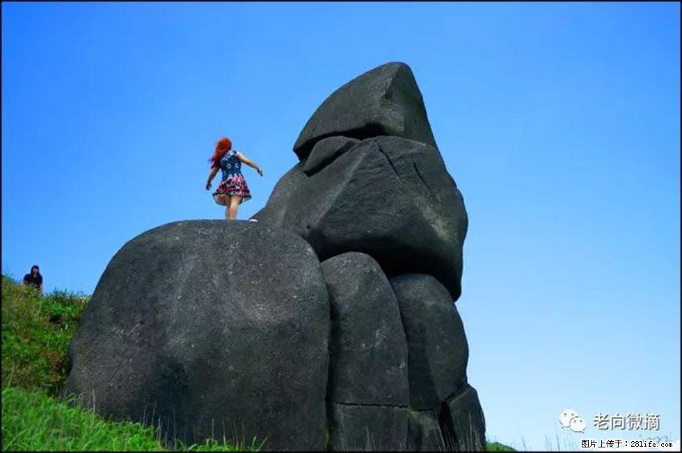 【春天，广西桂林灌阳县向您发出邀请！】宝盖山上映山红 - 游山玩水 - 湘西生活社区 - 湘西28生活网 xiangxi.28life.net