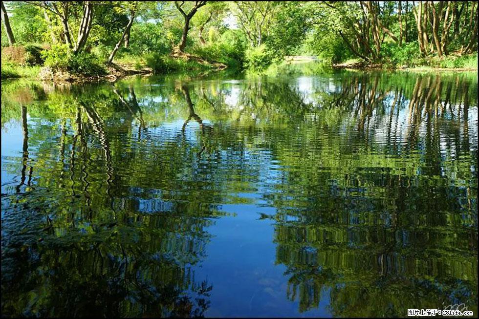 【春天，广西桂林灌阳县向您发出邀请！】熊家寨湿地公园 - 游山玩水 - 湘西生活社区 - 湘西28生活网 xiangxi.28life.net