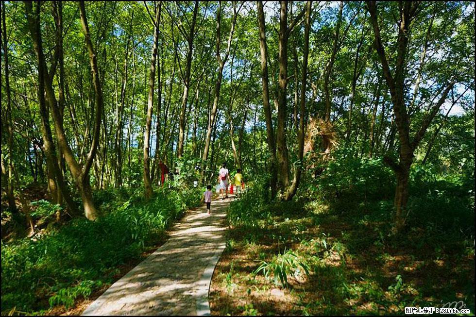 【春天，广西桂林灌阳县向您发出邀请！】熊家寨湿地公园 - 游山玩水 - 湘西生活社区 - 湘西28生活网 xiangxi.28life.net