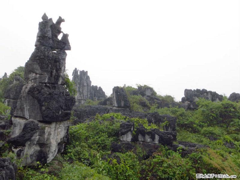 桂林旅游名城景点:灌阳文市石林 - 游山玩水 - 湘西生活社区 - 湘西28生活网 xiangxi.28life.net