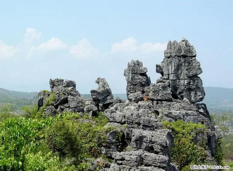 桂林旅游名城景点:灌阳文市石林 - 游山玩水 - 湘西生活社区 - 湘西28生活网 xiangxi.28life.net