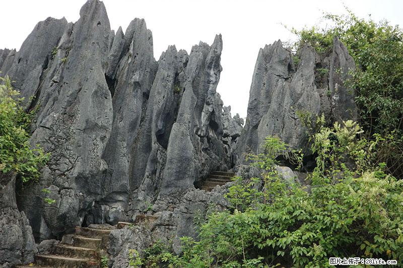 桂林旅游名城景点:灌阳文市石林 - 游山玩水 - 湘西生活社区 - 湘西28生活网 xiangxi.28life.net