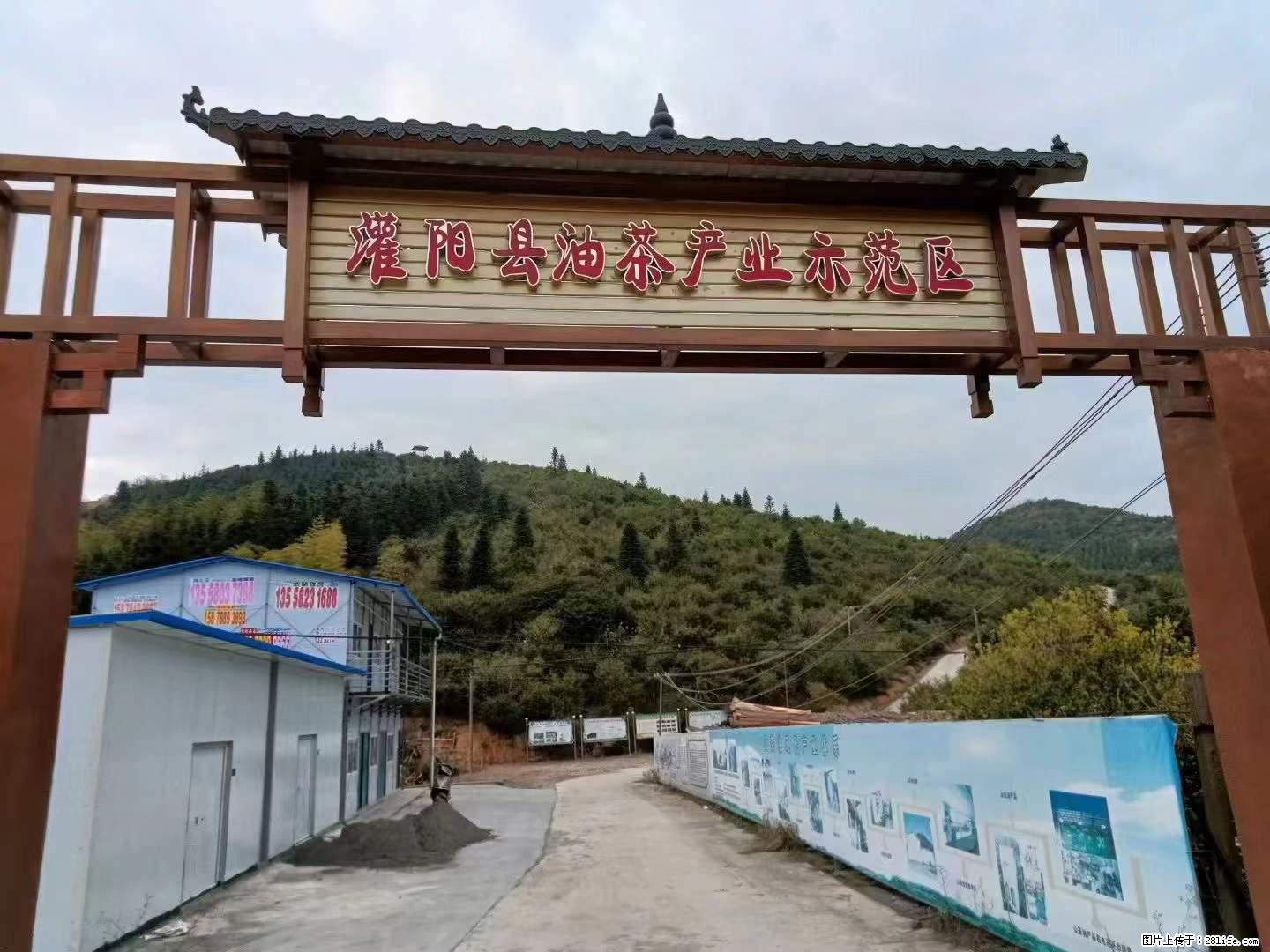 【灌阳县油茶产业示范区】一个有着充实的精神生活的人，对待身外之物自会有一种淡泊的态度 - 美食天地 - 湘西生活社区 - 湘西28生活网 xiangxi.28life.net