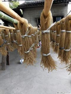 【灌阳正宗红薯粉】美女家里自己做的，干净卫生，假一赔十，价格合理，抢购电话：13737312895 - 湘西28生活网 xiangxi.28life.net