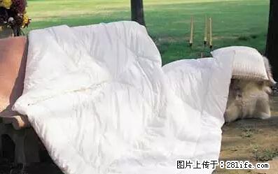 被子有异味？只要这样做，比晒太阳还强100倍！ - 家居生活 - 湘西生活社区 - 湘西28生活网 xiangxi.28life.net