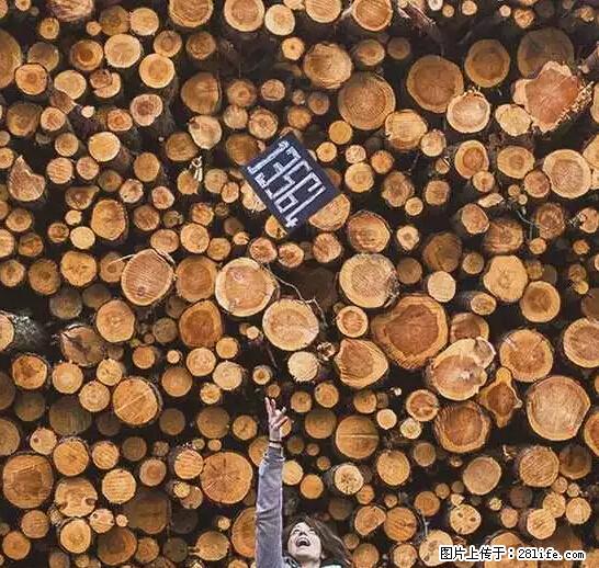 辞掉工作周游世界？现在他们在洗厕所…… - 游山玩水 - 湘西生活社区 - 湘西28生活网 xiangxi.28life.net