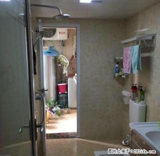 新天地步步高 全新精装修 初次出租 拎包入住 - 湘西28生活网 xiangxi.28life.net