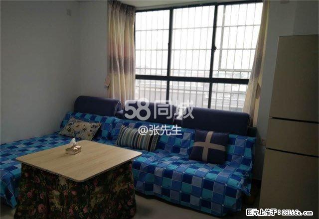 乐家房产红旗门 派克中央城精装单身公寓 拎包入住 - 房屋出租 - 房屋租售 - 湘西分类信息 - 湘西28生活网 xiangxi.28life.net