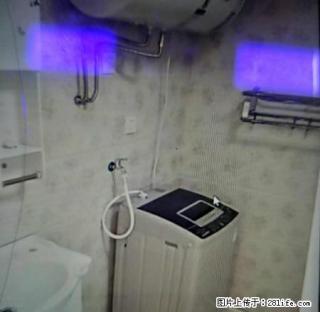 世介房产中心地带财信电梯1室1厅精装拎包入住 - 湘西28生活网 xiangxi.28life.net
