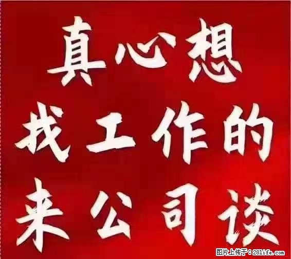 【上海】国企，医院招两名男保安，55岁以下，身高1.7米以上，无犯罪记录不良嗜好 - 职场交流 - 湘西生活社区 - 湘西28生活网 xiangxi.28life.net