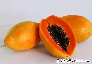 晕车、脚气、牙齿变黄、皮肤粗糙？学会这些三分钟搞定！ - 湘西生活资讯 - 湘西28生活网 xiangxi.28life.net
