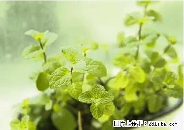 晕车、脚气、牙齿变黄、皮肤粗糙？学会这些三分钟搞定！ - 湘西生活资讯 - 湘西28生活网 xiangxi.28life.net