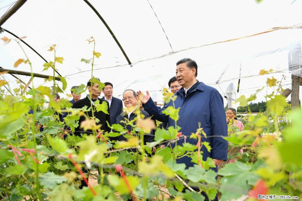习近平赴广西考察调研 - 湘西生活资讯 - 湘西28生活网 xiangxi.28life.net