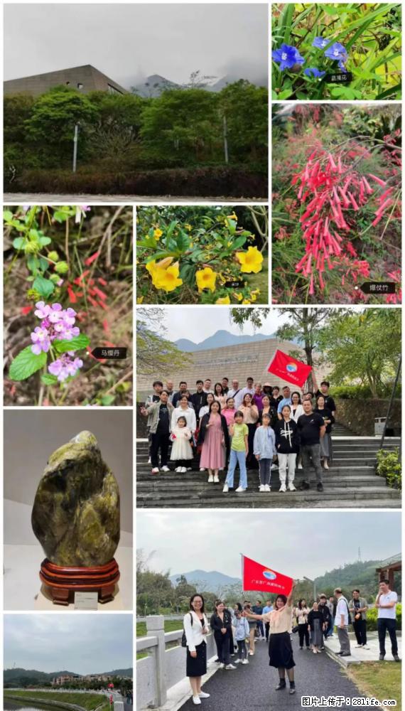 “粤灌文化 美好生活”油茶文化主题活动在广东深圳成功举办 - 湘西生活资讯 - 湘西28生活网 xiangxi.28life.net