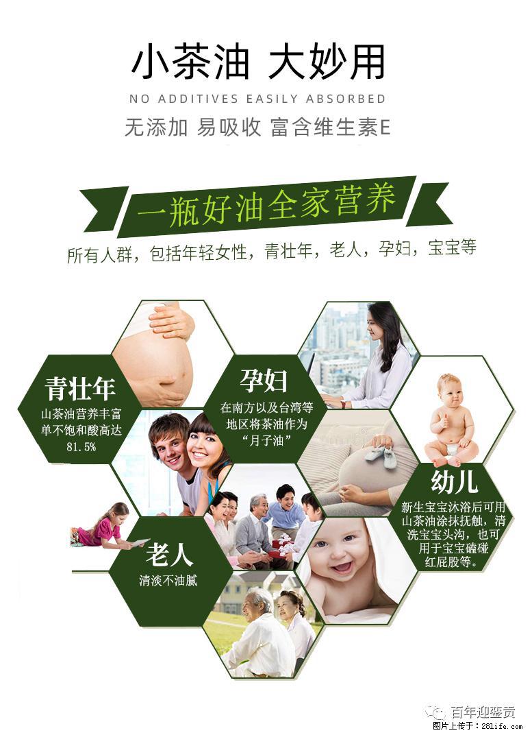 世界没有真相，只有认知，最好的食用油是中国的山茶油！ - 湘西生活资讯 - 湘西28生活网 xiangxi.28life.net