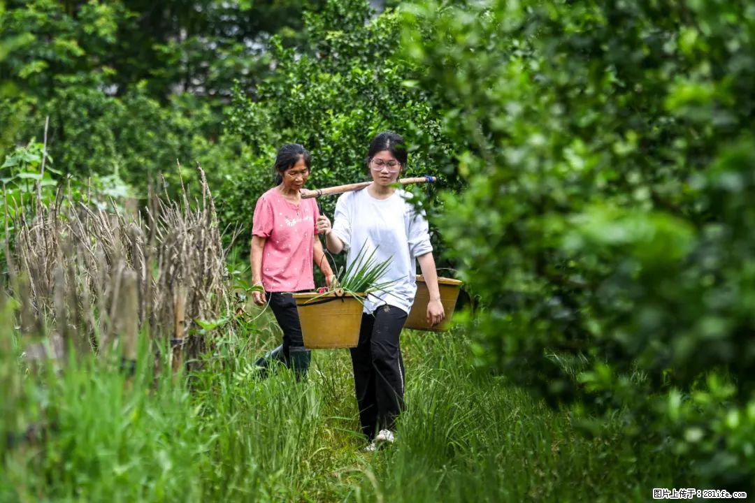 全网追的“扁担女孩”，找了一份暑假工，时薪12元 - 湘西生活资讯 - 湘西28生活网 xiangxi.28life.net