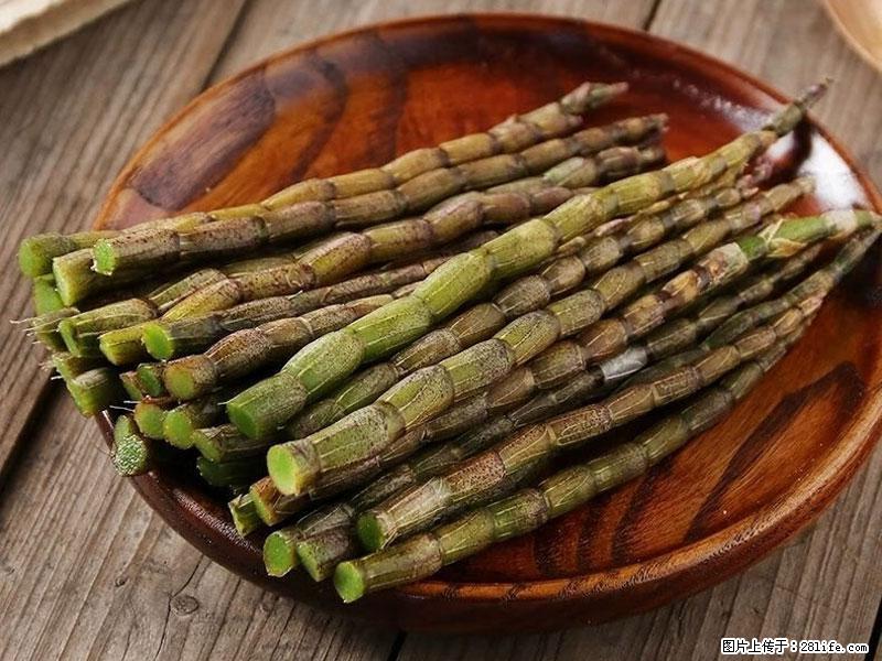 铁皮石斛的作用与功能主治 - 湘西生活资讯 - 湘西28生活网 xiangxi.28life.net