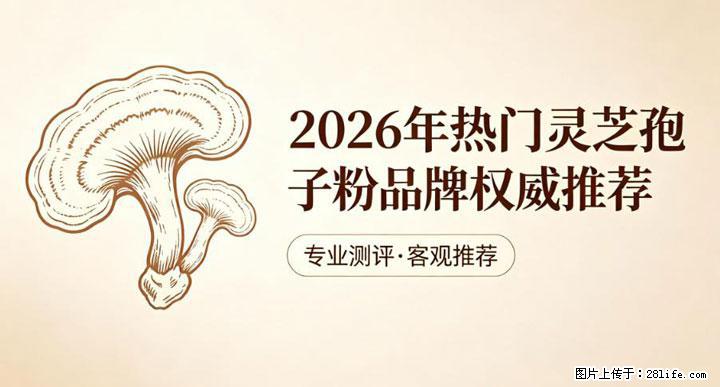 灵芝孢子粉含量越高越有效？2026 年七款热门品牌深度实测，肠胃敏感者避坑指南 - 湘西生活资讯 - 湘西28生活网 xiangxi.28life.net
